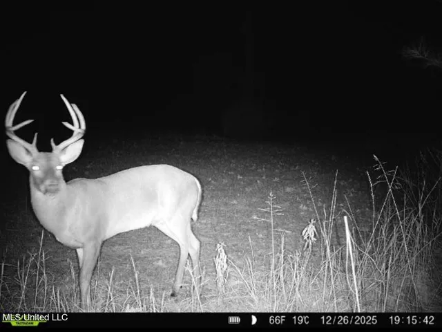 $230,000 | 0 Pearl Smith Road, Senatobia, MS 38668