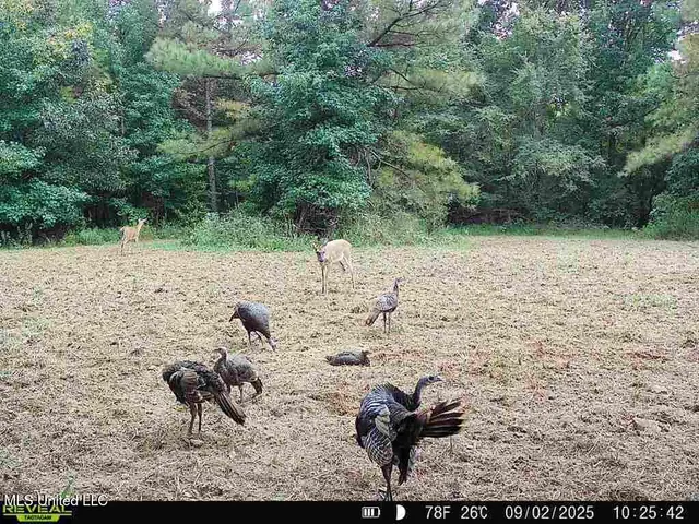 $230,000 | 0 Pearl Smith Road, Senatobia, MS 38668