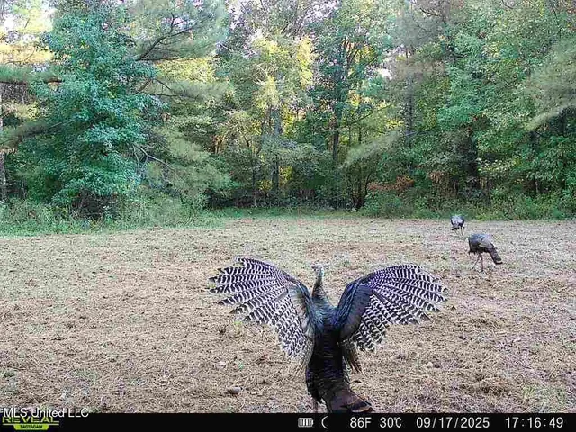 $230,000 | 0 Pearl Smith Road, Senatobia, MS 38668