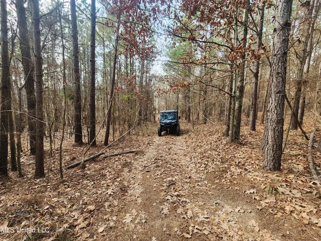 $230,000 | 0 Pearl Smith Road, Senatobia, MS 38668