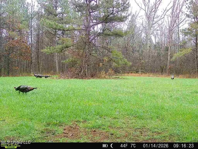 $230,000 | 0 Pearl Smith Road, Senatobia, MS 38668