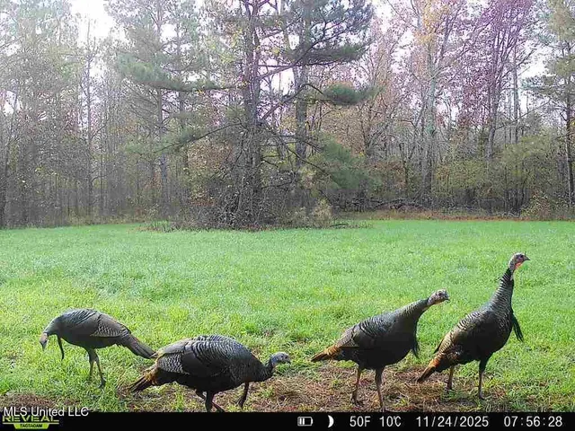 $230,000 | 0 Pearl Smith Road, Senatobia, MS 38668