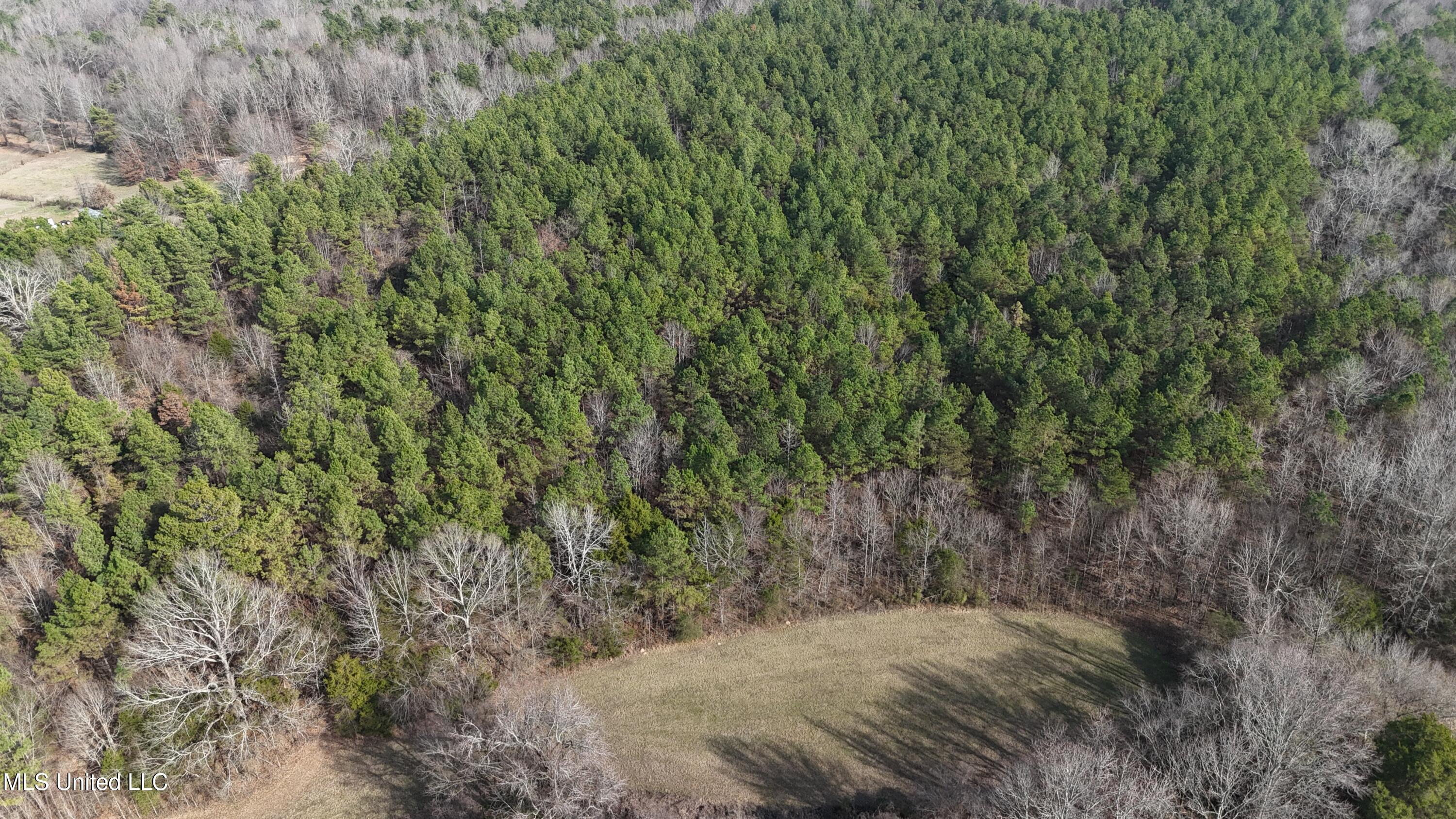 0 Pearl Smith Road Senatobia, MS 38668 - Photo 84 of 90 DJI_20260107133631_0748_D