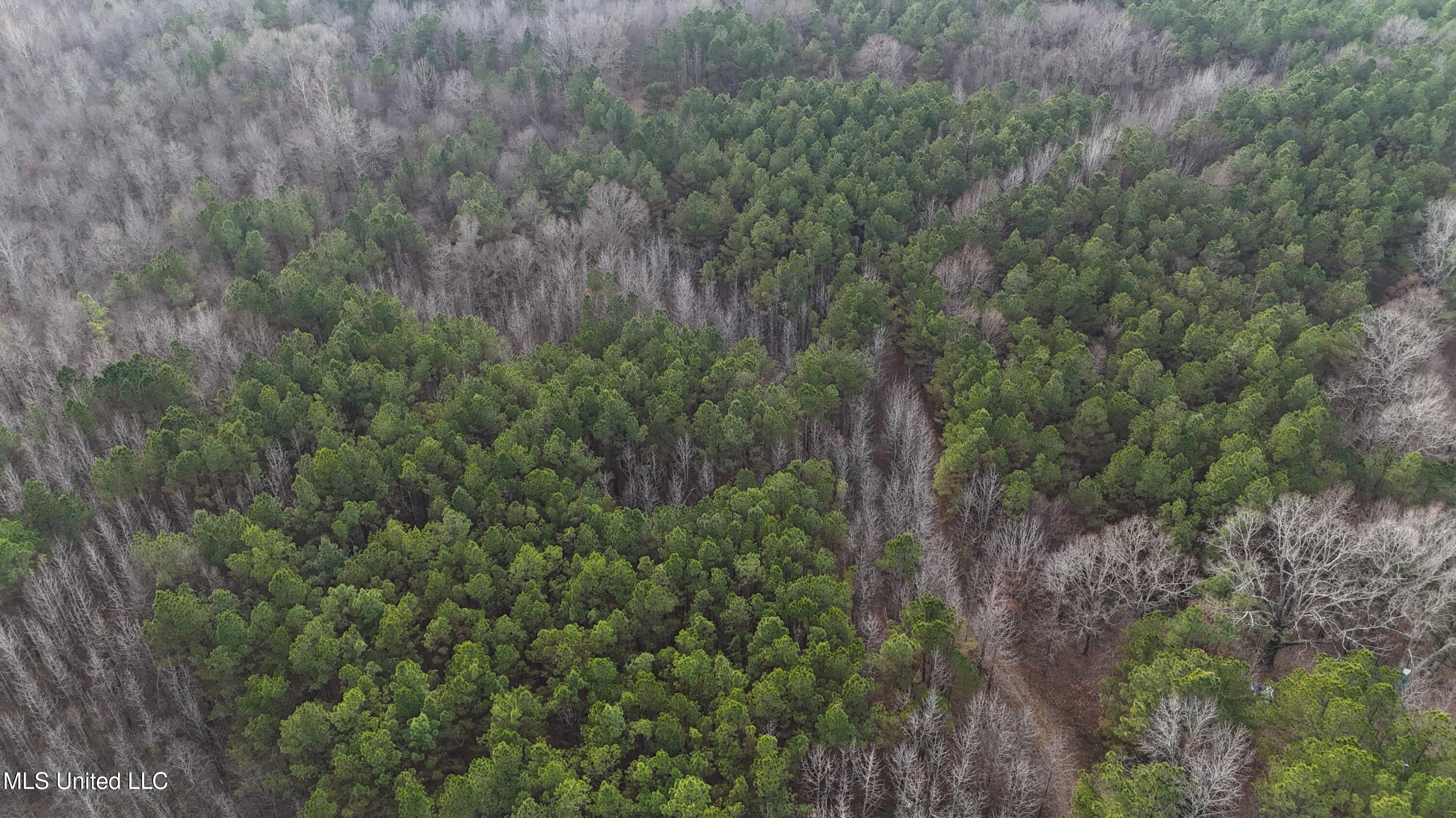 0 Pearl Smith Road Senatobia, MS 38668 - Photo 85 of 90 DJI_20260107151649_0763_D