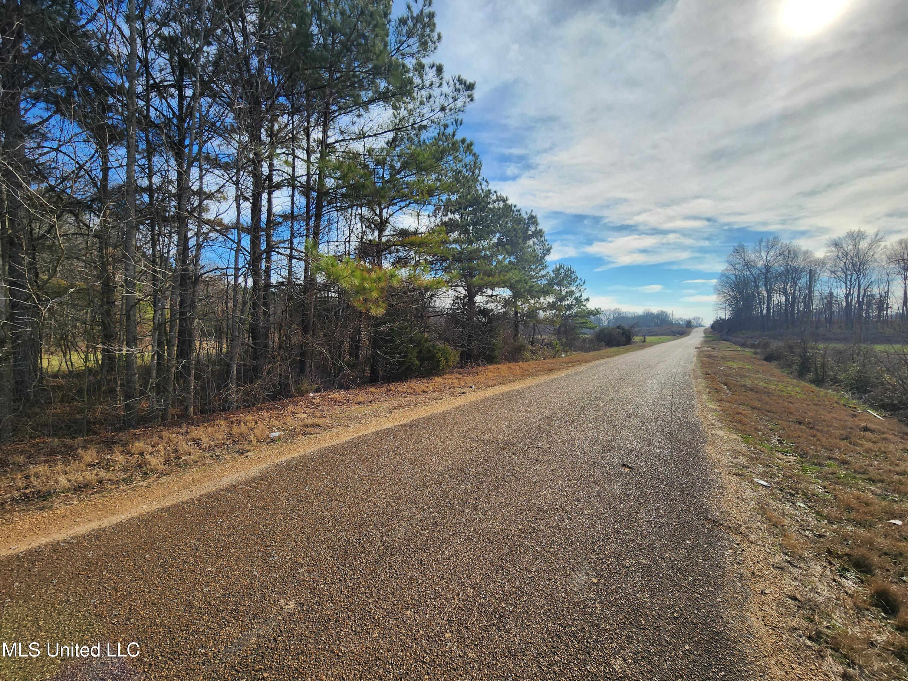 0 Pearl Smith Road Senatobia, MS 38668 - Photo 86 of 90 20260107_124026
