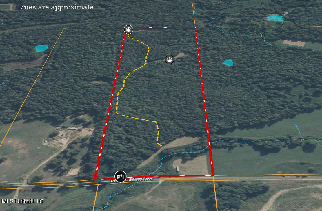 0 Pearl Smith Road Senatobia, MS 38668 - Photo 89 of 90 Front property view