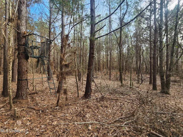 $230,000 | 0 Pearl Smith Road, Senatobia, MS 38668