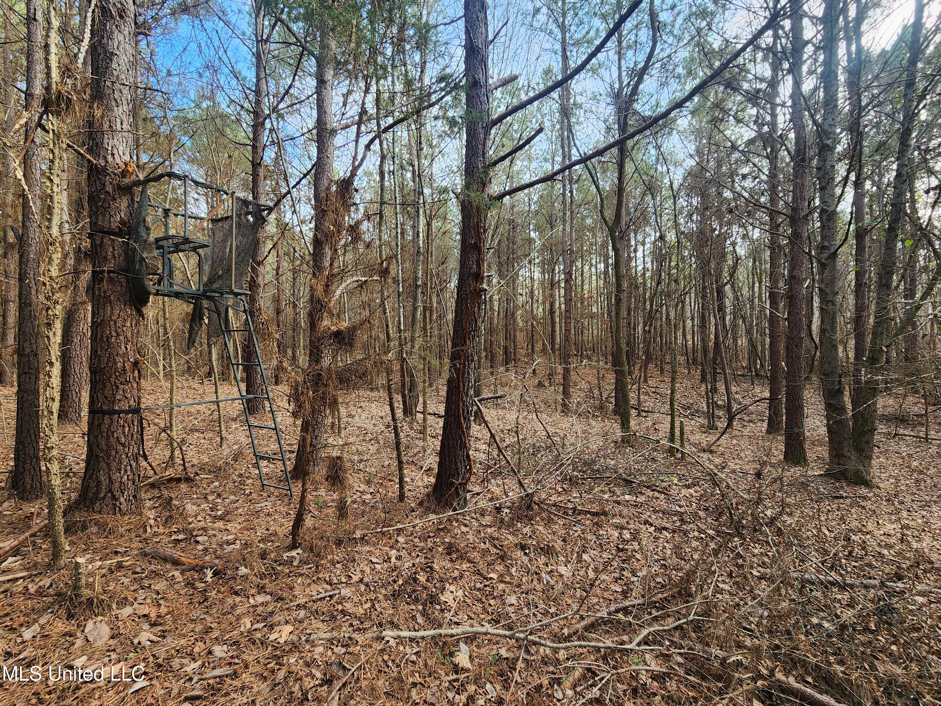 0 Pearl Smith Road Senatobia, MS 38668 - Photo 9 of 90 20260107_130637