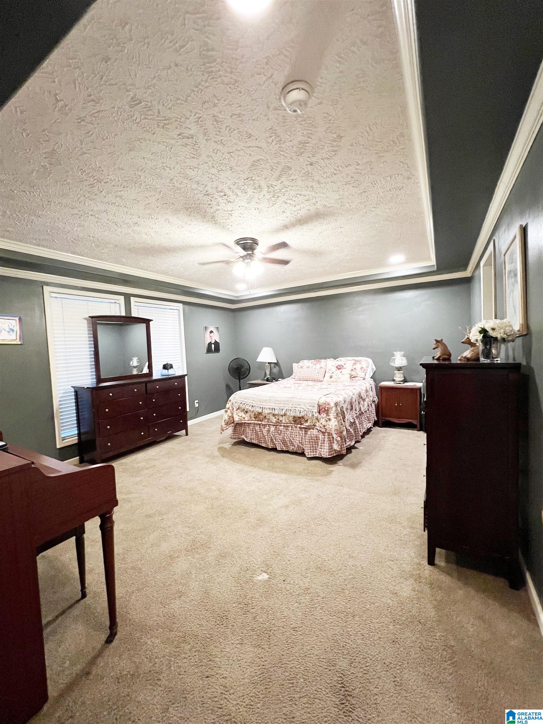 249 Masters Road Bessemer, AL 35023 - Photo 9 of 17