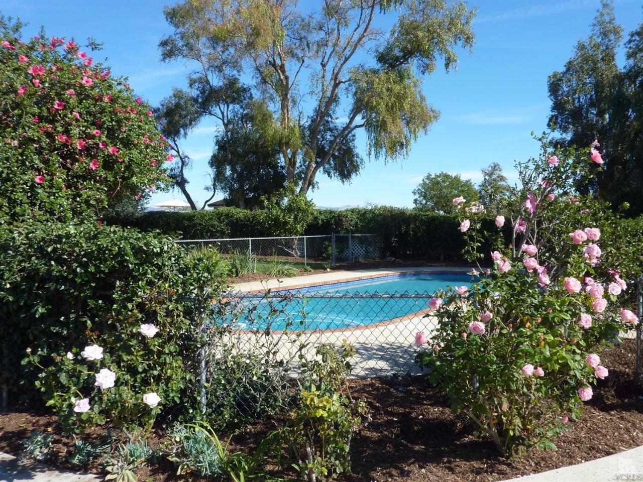 1707 Rambling Road Simi Valley, CA 93065 - Photo 5 of 29 a view of yard with swimming pool and green space