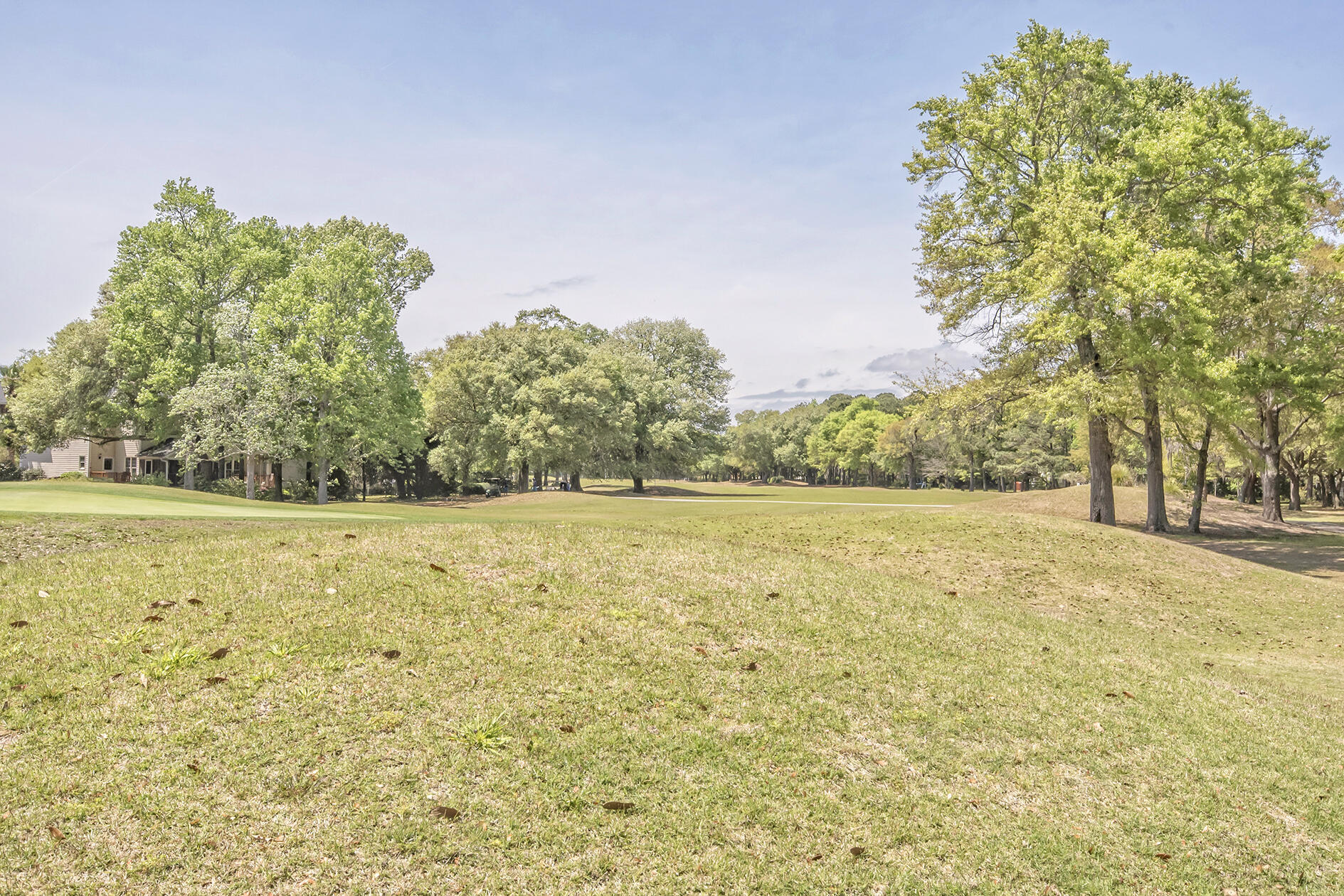 3081 Linksland Road Mount Pleasant, SC 29466 - Photo 50 of 52 DSC_4630