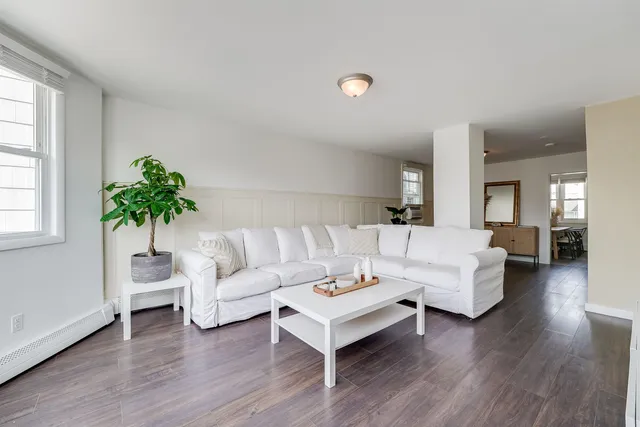a living room with furniture and a potted plant
