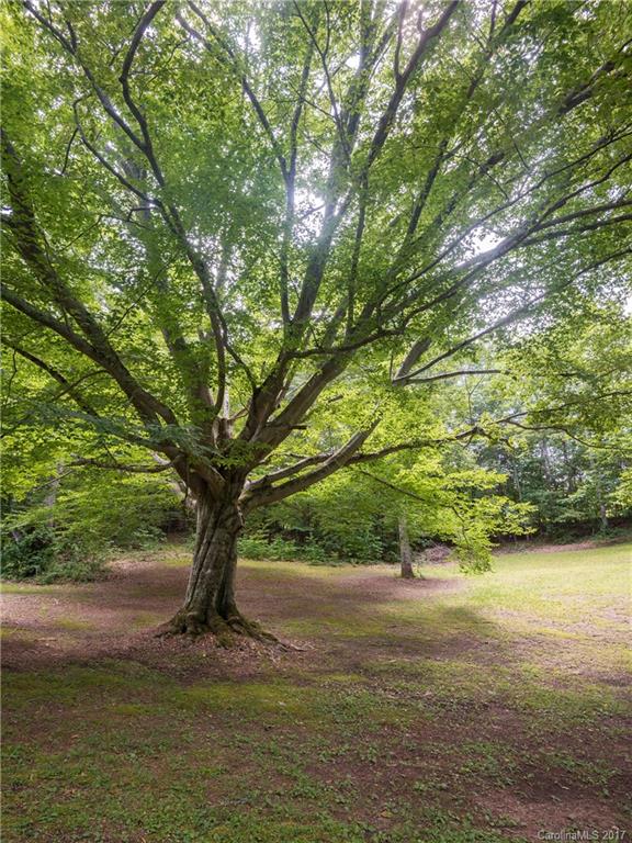 70 Waters Cove Road Candler, NC 28715 - Photo 16 of 22 Gallery Image 16