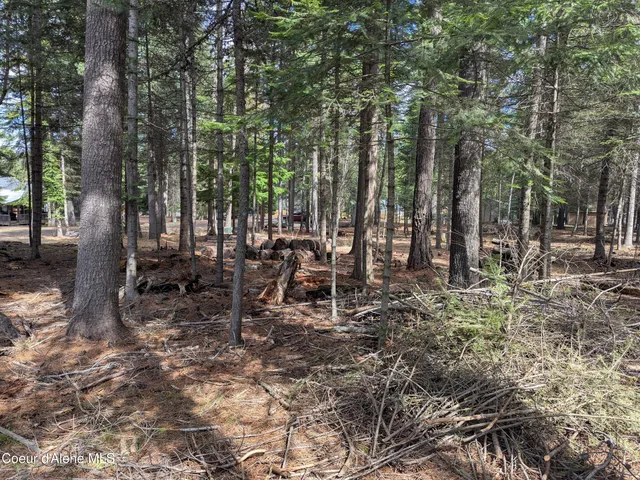 $159,000 | Nna West Florida Circle, Worley, ID 83876