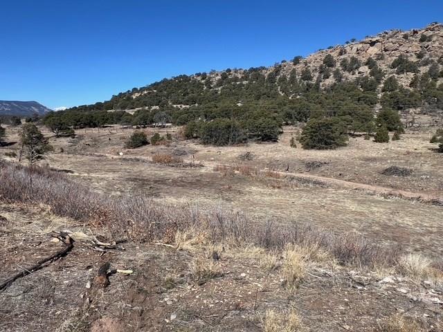 3 B Majors Ranch Road Walsenburg, CO 81089 - Photo 12 of 54