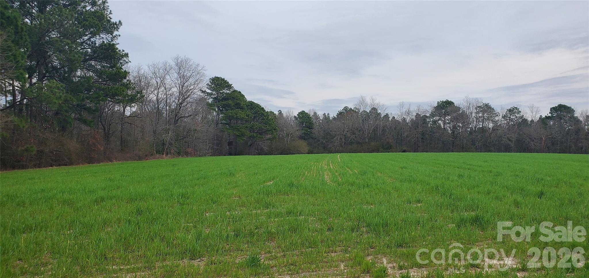650 Farmers Market Road Biscoe, NC 27209 - Photo 12 of 26 Gallery Image 12