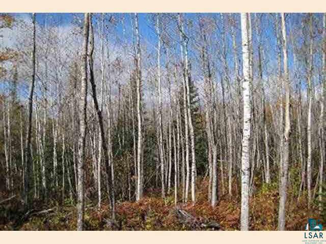 Xx Wolf Lake Road Ely, MN 55731 - Photo 3 of 9 Gallery Image 3