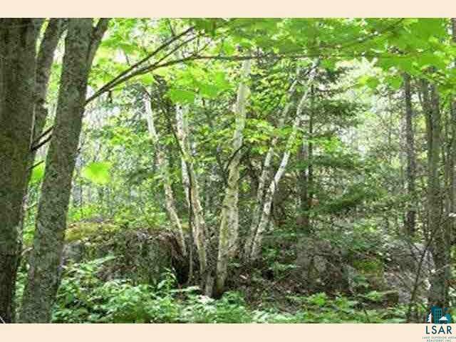 Xx Wolf Lake Road Ely, MN 55731 - Photo 6 of 9 Gallery Image 6