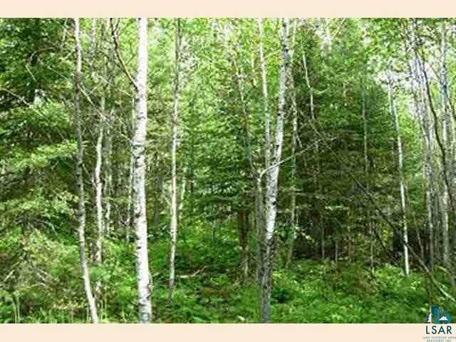 Xx Wolf Lake Road Ely, MN 55731 - Photo 7 of 9 Gallery Image 7