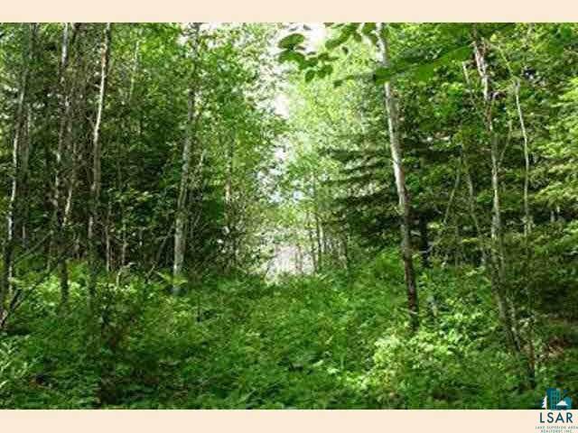 Xx Wolf Lake Road Ely, MN 55731 - Photo 9 of 9 Gallery Image 9