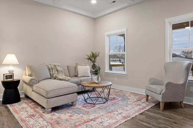 a living room with furniture and a potted plant
