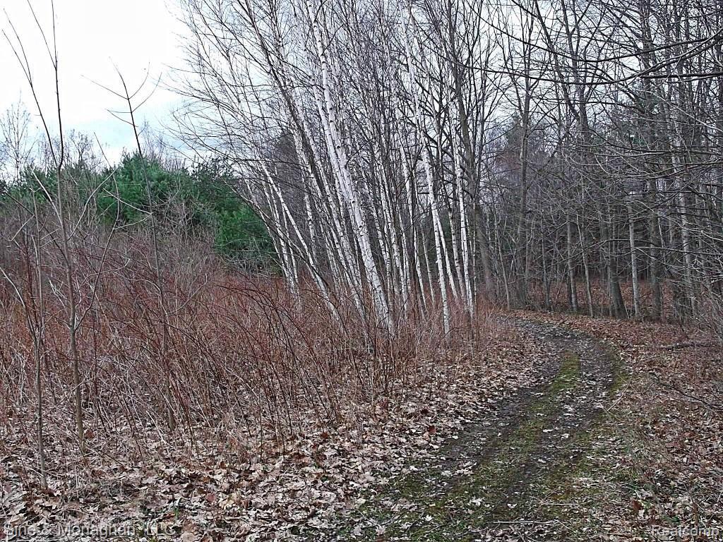 5267 Davis Road St. Clair, MI 48079 - Photo 2 of 55 DSCF0013 (Medium).jpg