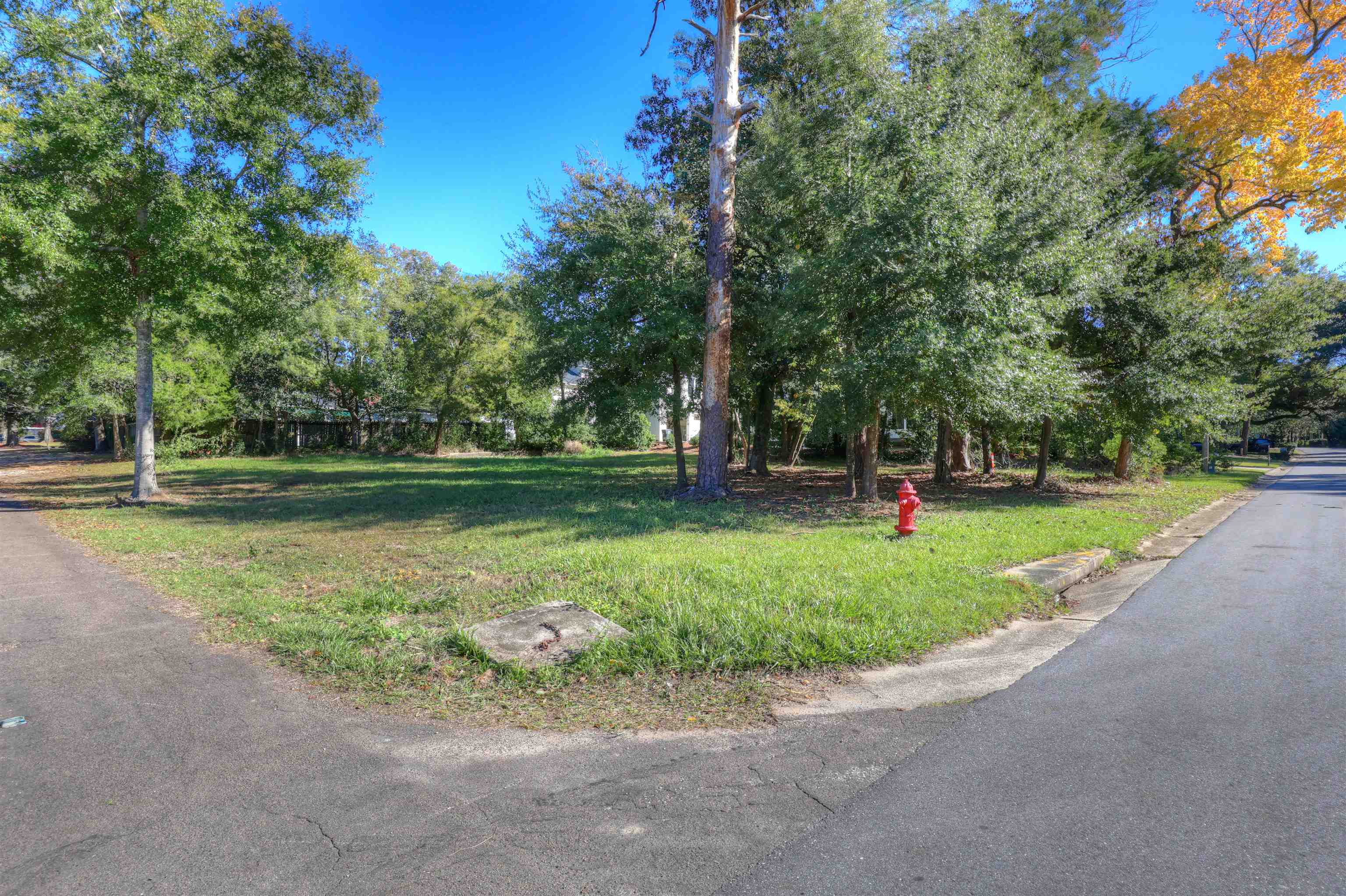 255 George Street Fairhope, AL 36532 - Photo 1 of 4