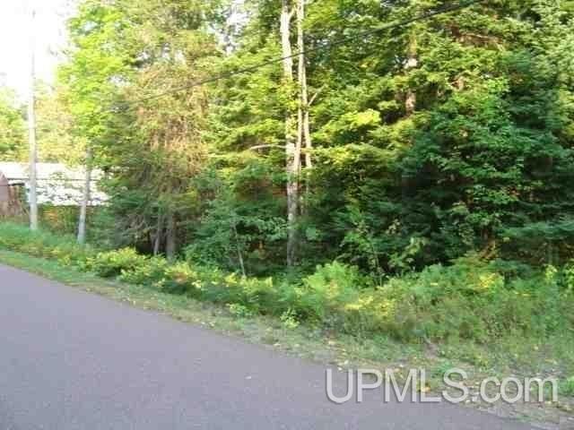 Tbd North Grosse Point Shores Road Dollar Bay, MI 49922 - Photo 10 of 16