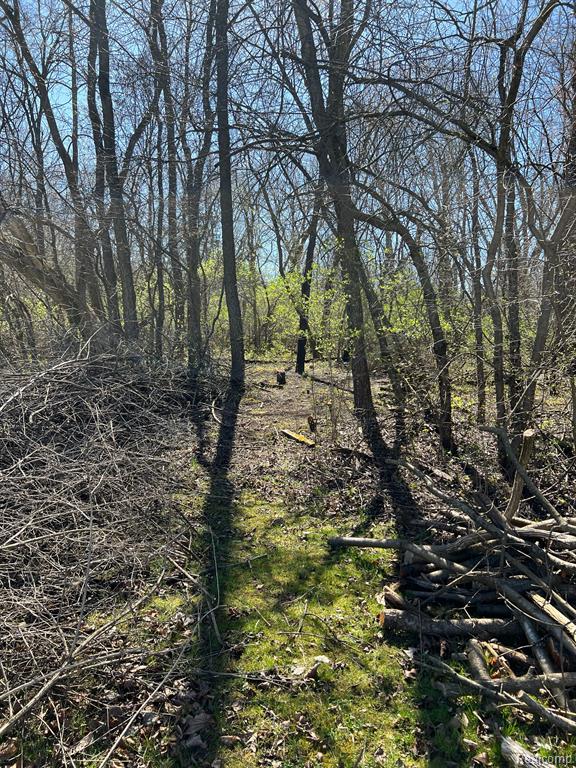 5456 Elms Road Flushing, MI 48433 - Photo 11 of 63