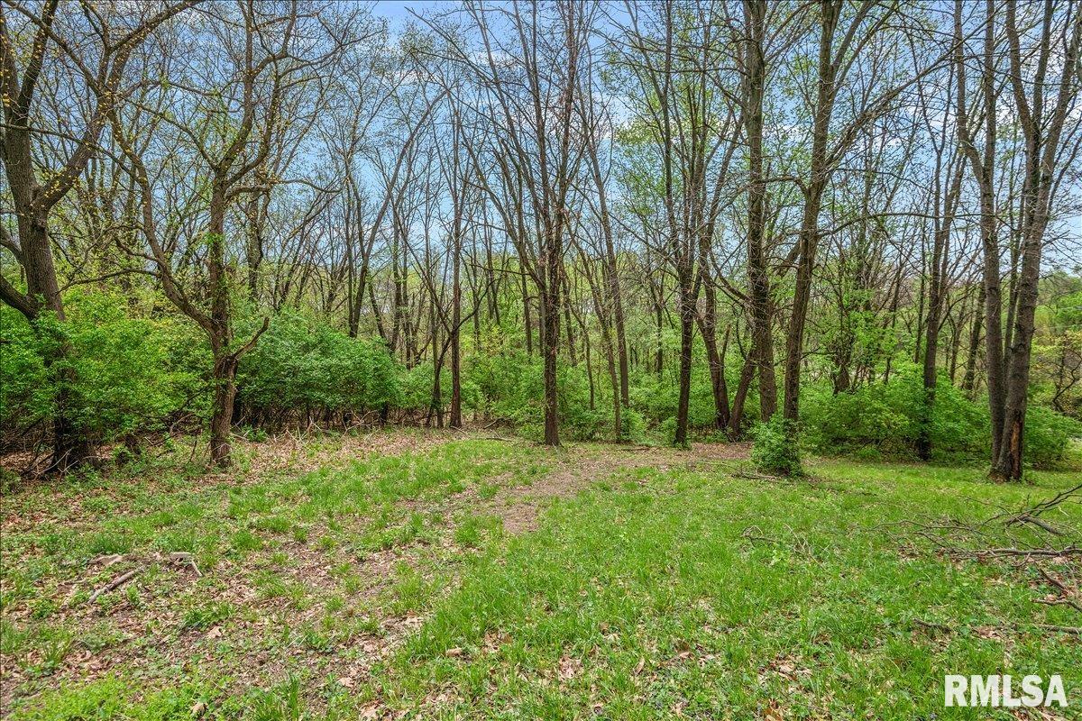 3838 North 8th Street Road Springfield, IL 62707 - Photo 58 of 73