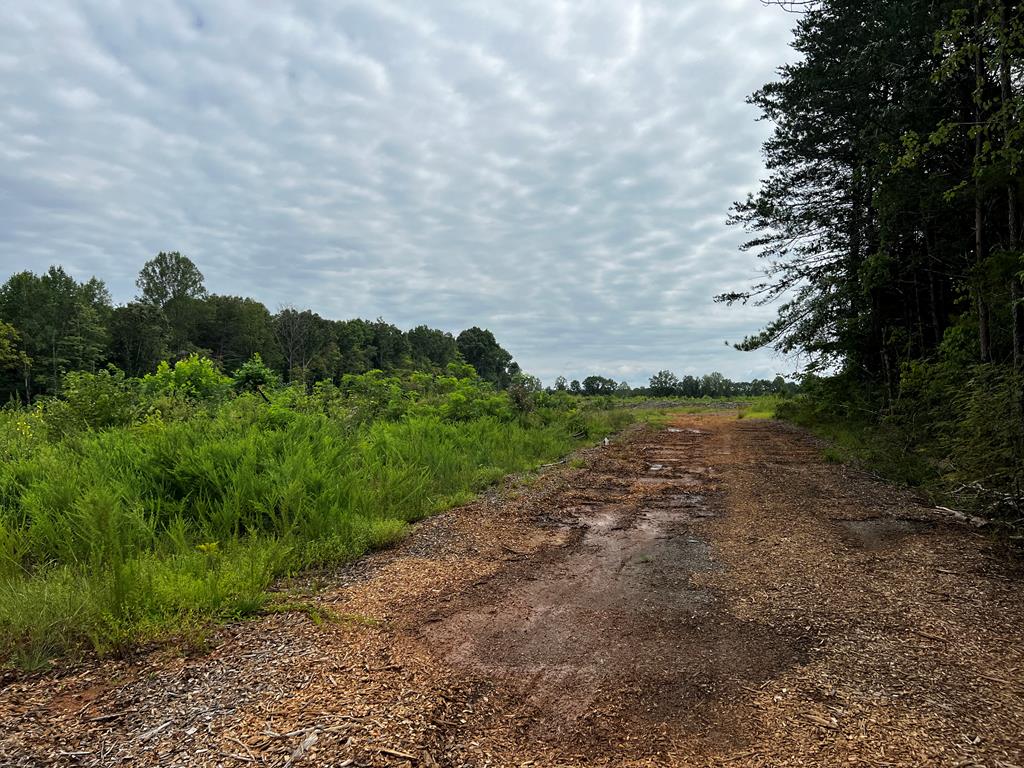 Fanny White Road, Unit 2 Buckingham, VA 23921 - Photo 6 of 10 Gallery Image 6