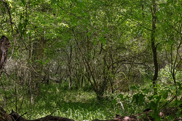 $375,000 | 0 Hwy 71 And Highway, La Grange, TX 78945