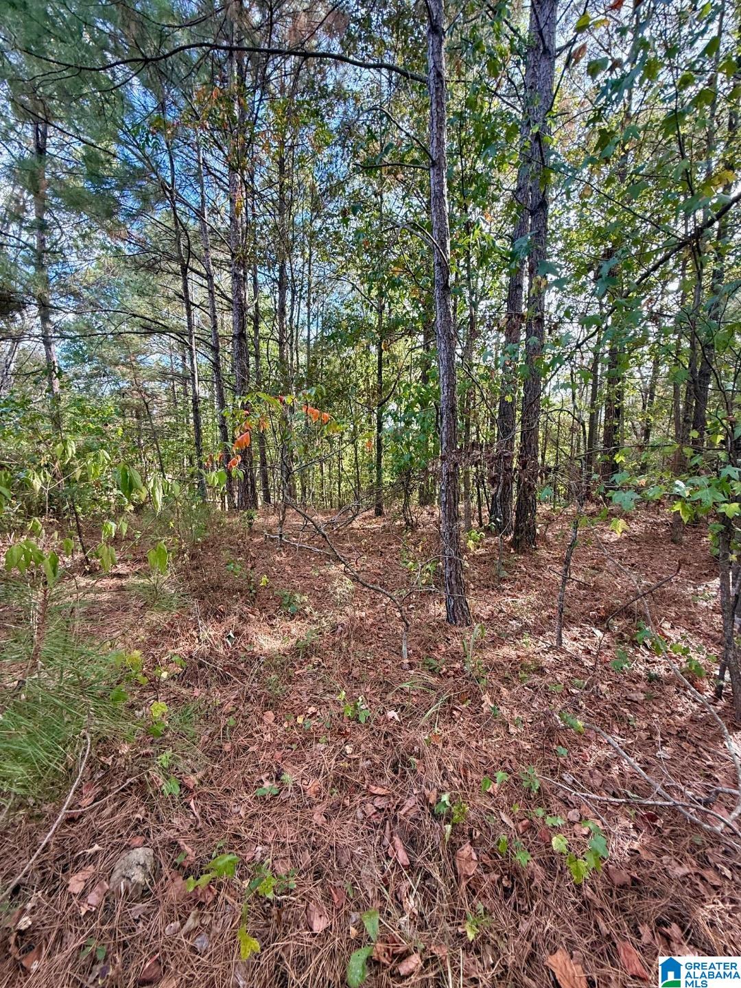 325 Deer Ridge Lane, Unit 29 Chelsea, AL 35043 - Photo 11 of 17