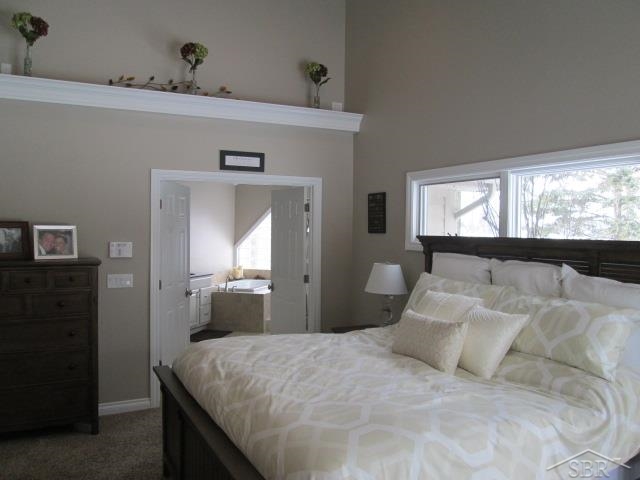 5450 North Graham Road Freeland, MI 48623 - Photo 17 of 35 Master Suite