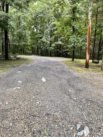 57 Summer Road Berlin, MA 01503 - Photo 20 of 22 Gallery Image 20