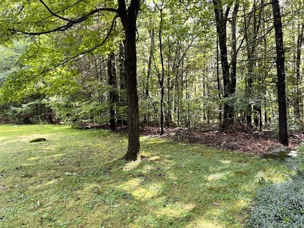 57 Summer Road Berlin, MA 01503 - Photo 8 of 22 Gallery Image 8