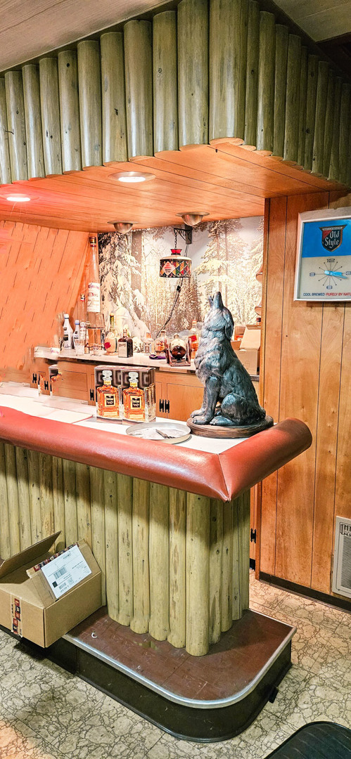 313 West Nippersink Road Round Lake, IL 60073 - Photo 45 of 53 Gallery Image 45