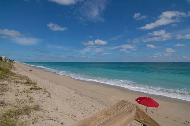 a view of a dry yard with wooden floor