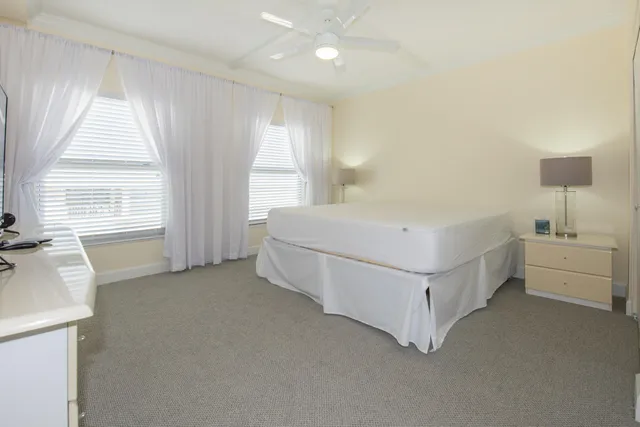 a view of a lake in middle of forest