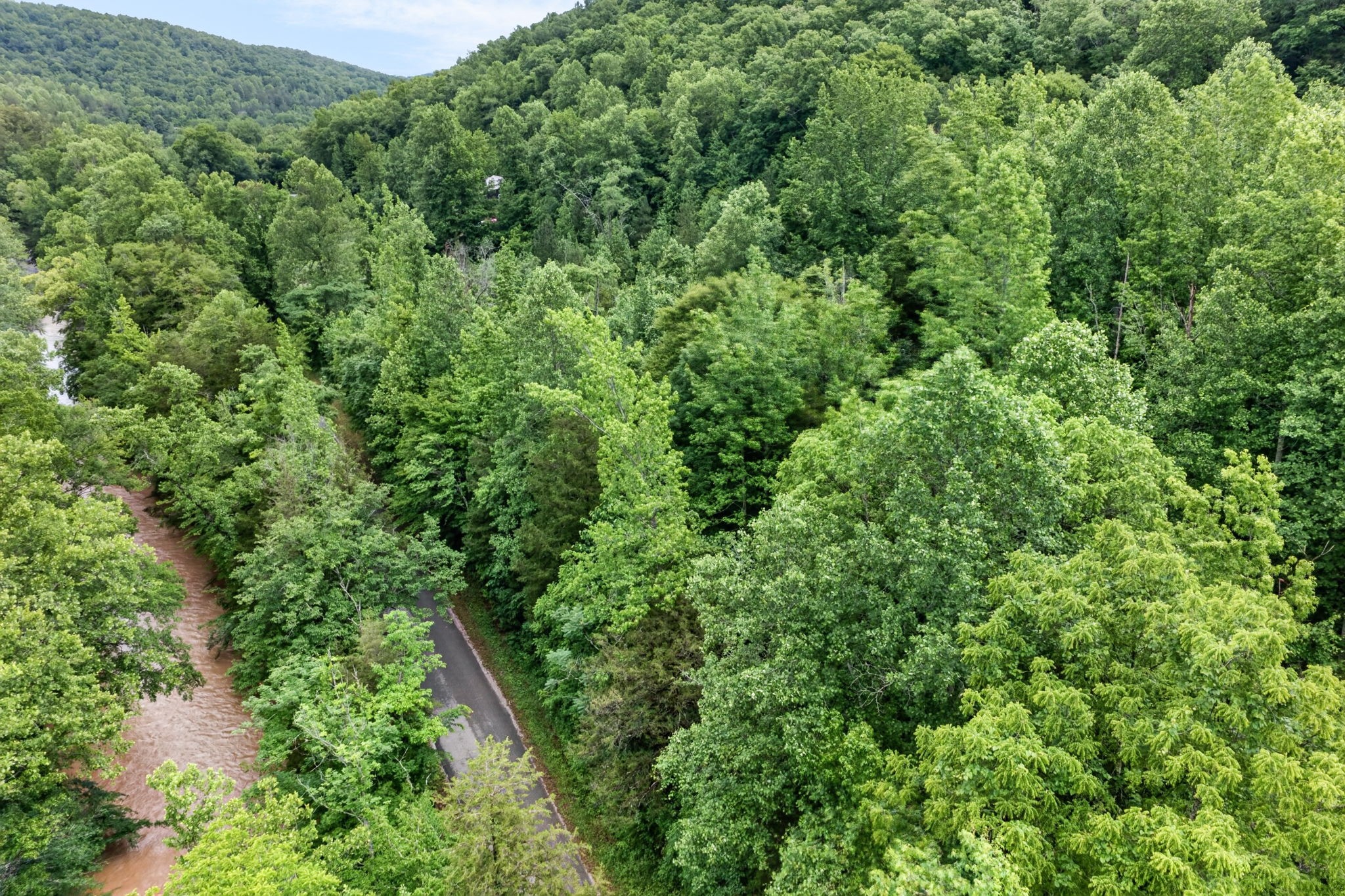 457 Shiloh Road Crawford, TN 38554 - Photo 14 of 22