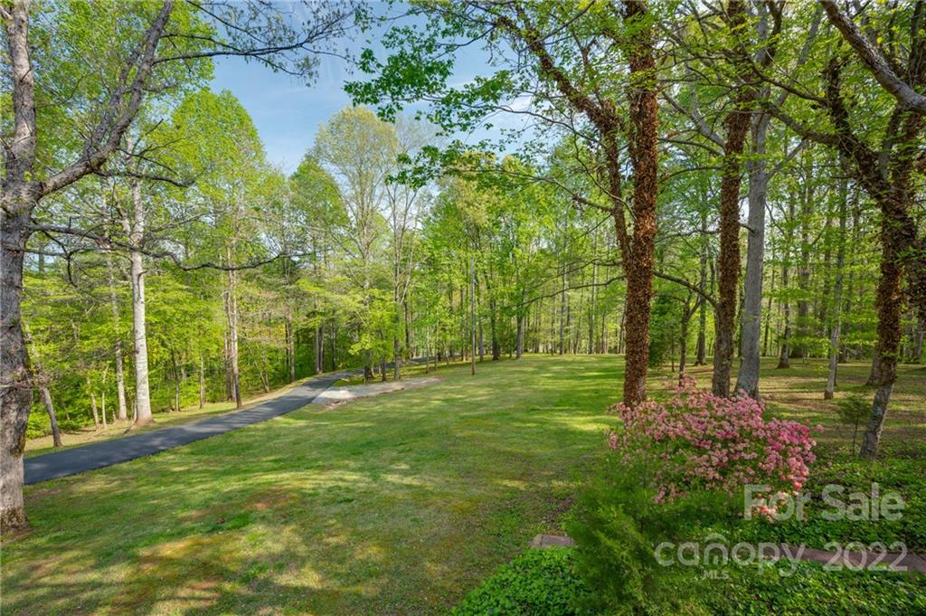 486 Groves Road Rutherfordton, NC 28139 - Photo 4 of 47 a big yard with lots of green space and trees