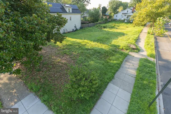 a view of a pathway both side of the yard