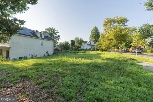 a view of a field with large trees