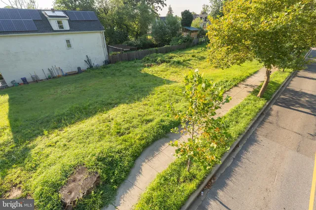 a view of a garden with an outdoor space