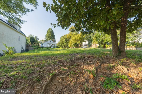 a view of a trees with a yard