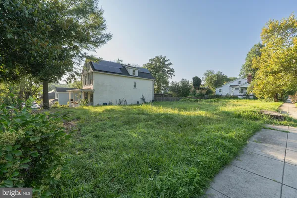 a view of a big yard with plants and a large tree
