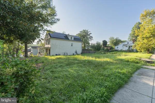a view of a big yard with plants and a large tree