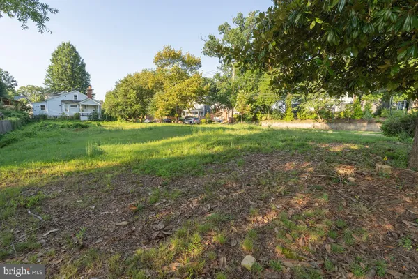 a view of yard with green space