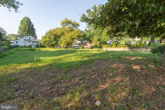 a view of yard with green space