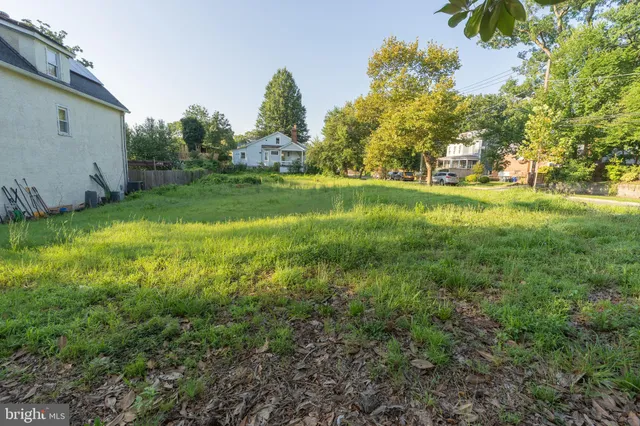a view of garden with trees
